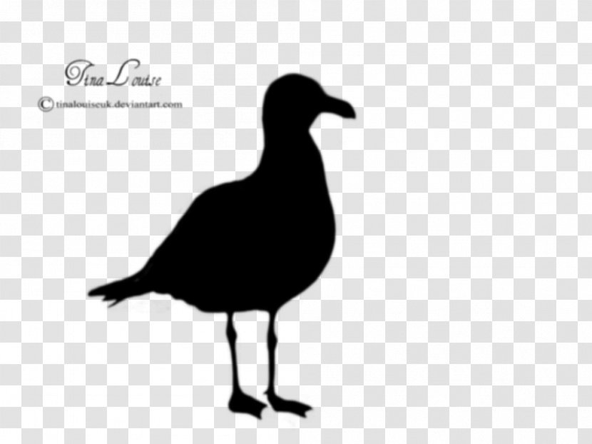 Gulls Silhouette Clip Art - Royaltyfree - Seagull Transparent PNG