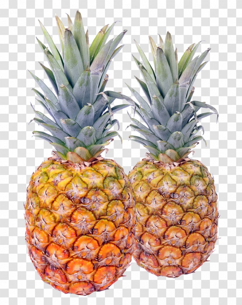 Pineapple Fruit - Veganism Transparent PNG