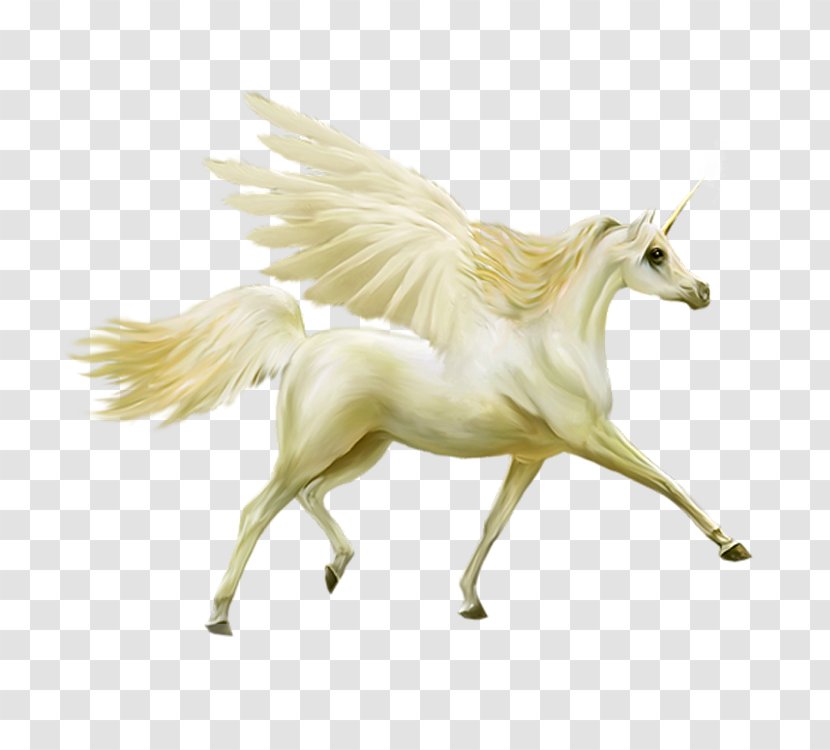 Horse Unicorn Pegasus Image Clip Art - Fictional Character Transparent PNG