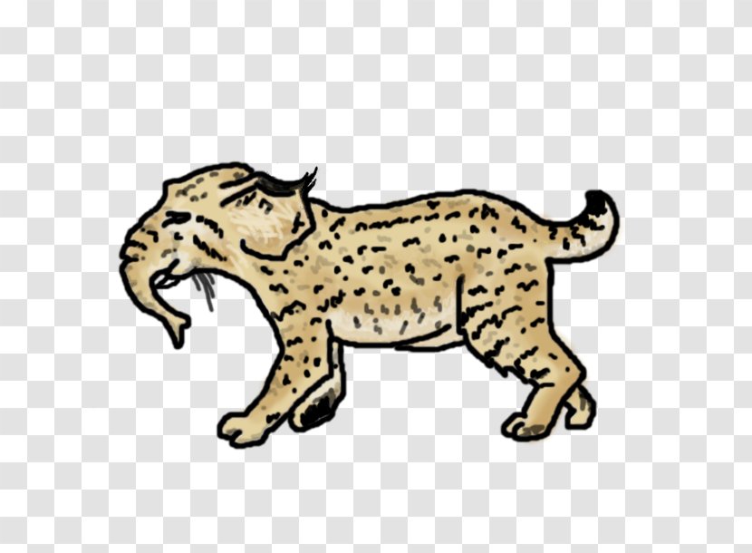 Whiskers Lion Cheetah Leopard Tiger - Cartoon - Bobcat Drawing Animals Transparent PNG