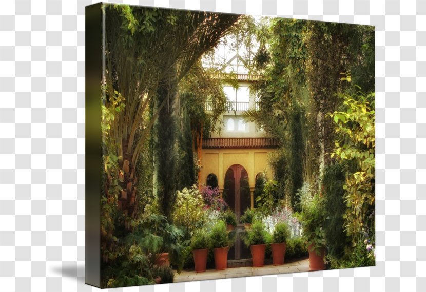 Majorelle Garden Blue Nature Gallery Wrap - Tree - Courtyard Transparent PNG