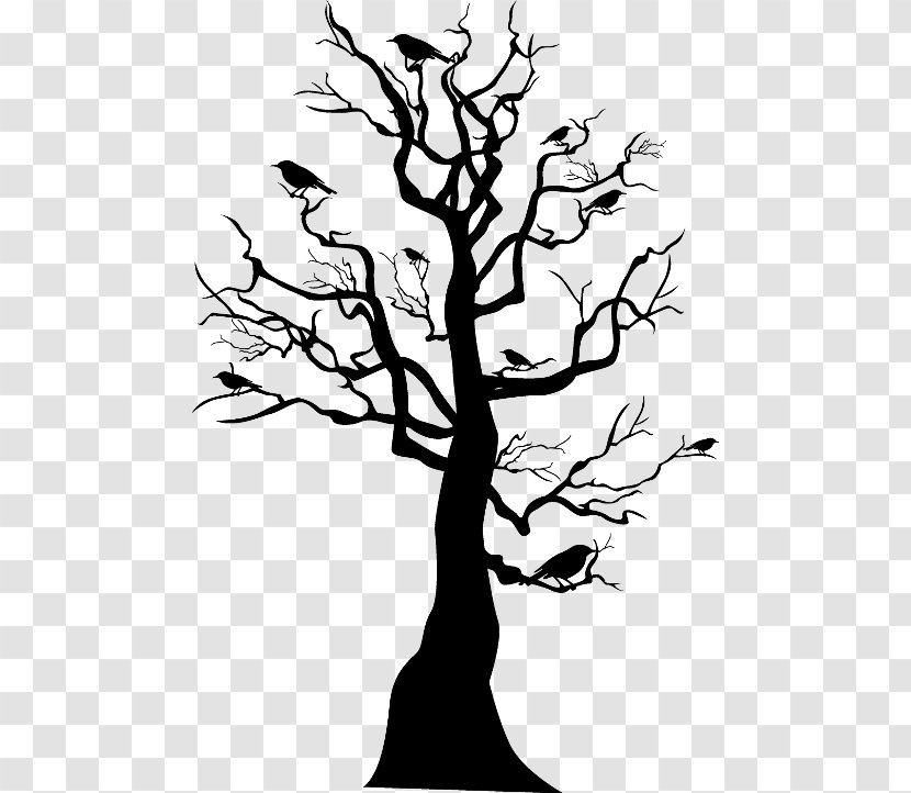 Tree Trunk Drawing - Line Art Transparent PNG