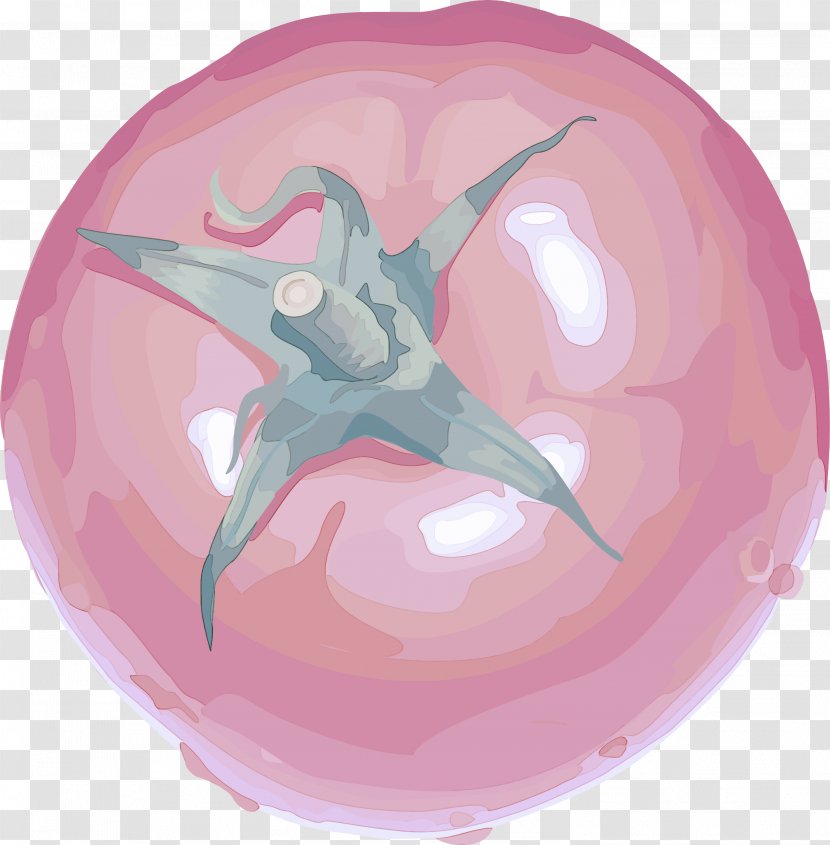 Pink Magenta Dolphin Fictional Character Transparent PNG