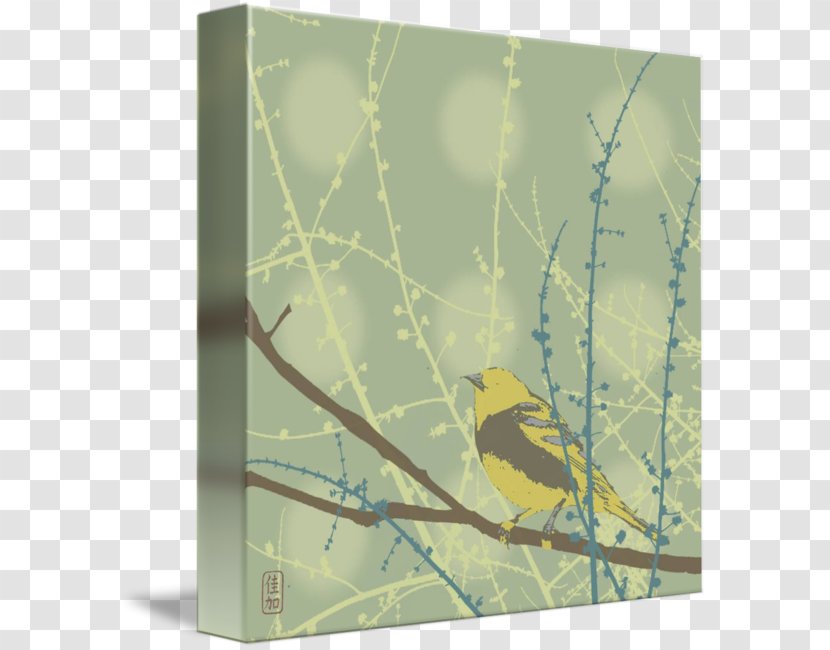 Gallery Wrap Bird Canvas Twig Fauna - Printing - Spring Buds Transparent PNG