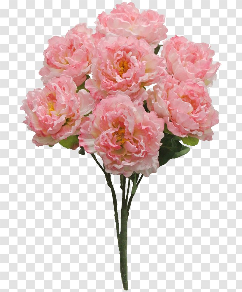 Flower Garden Roses Centifolia Peony Shrub - Rose Family - Peonies Transparent PNG