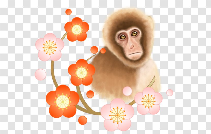 I Ching Rooster New Year Card Photography Illustration - Vertebrate - Monkeys And Flowers Transparent PNG