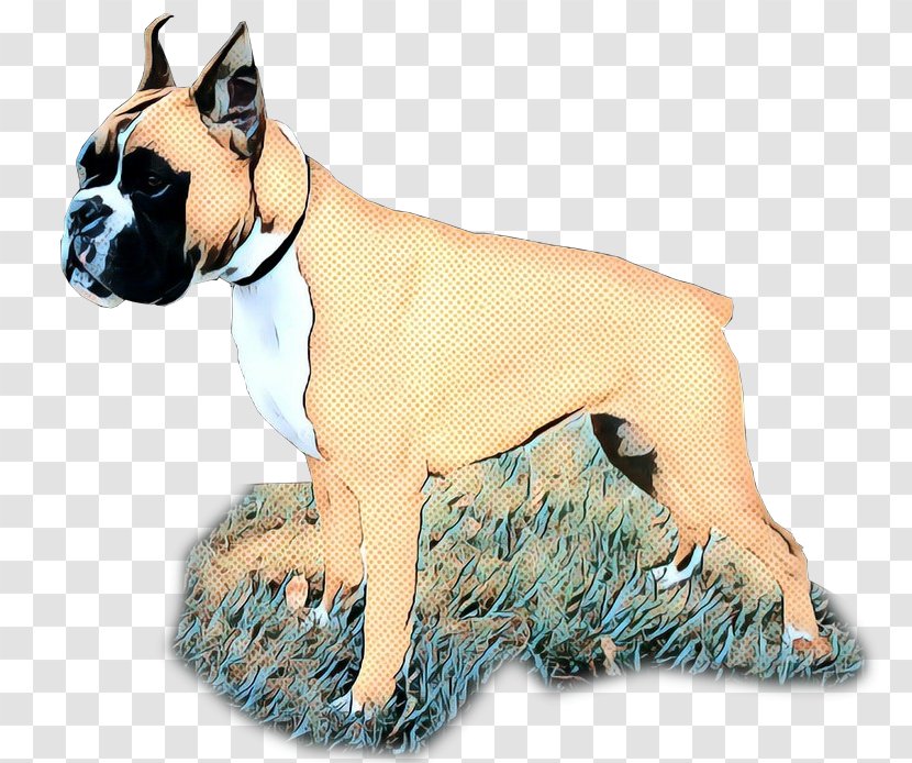 Bulldog Background - Working Dog - Ancient Breeds Bullmastiff Transparent PNG