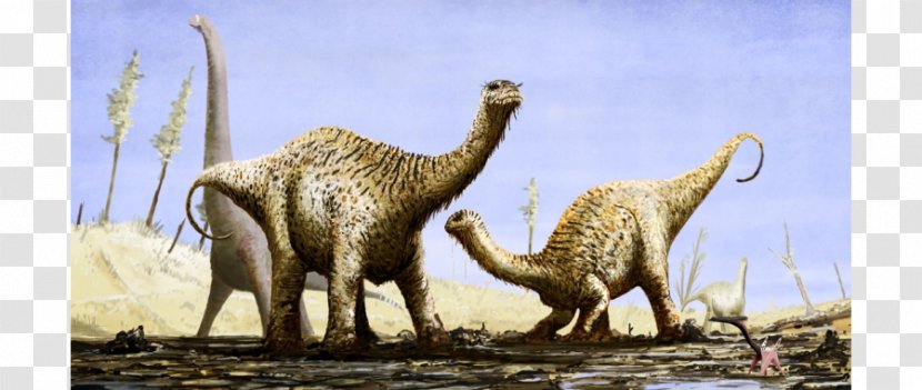 Dinosaur Amargasaurus Prehistory Ouranosaurus Skorpiovenator Transparent PNG