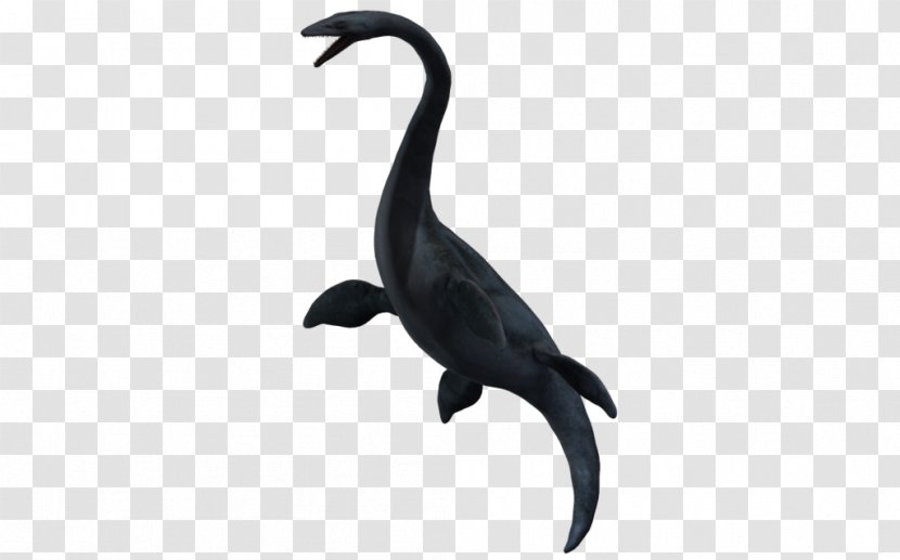 Elasmosaurus Dinosaur Spinosaurus Bird Animal - Redcrowned Crane Transparent PNG