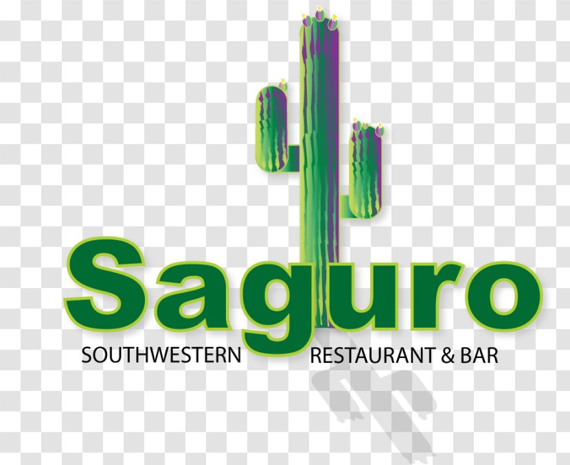 Safe From Harm Primer 1 Day Course Colorado Springs Food Restaurant Business - Saguaro Transparent PNG