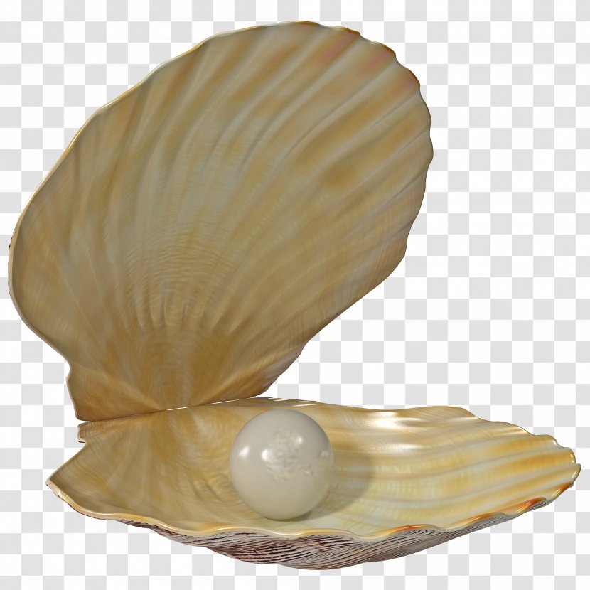 Clip Art Seashell Pearl Openclipart - Clams Oysters Mussels And Scallops Transparent PNG