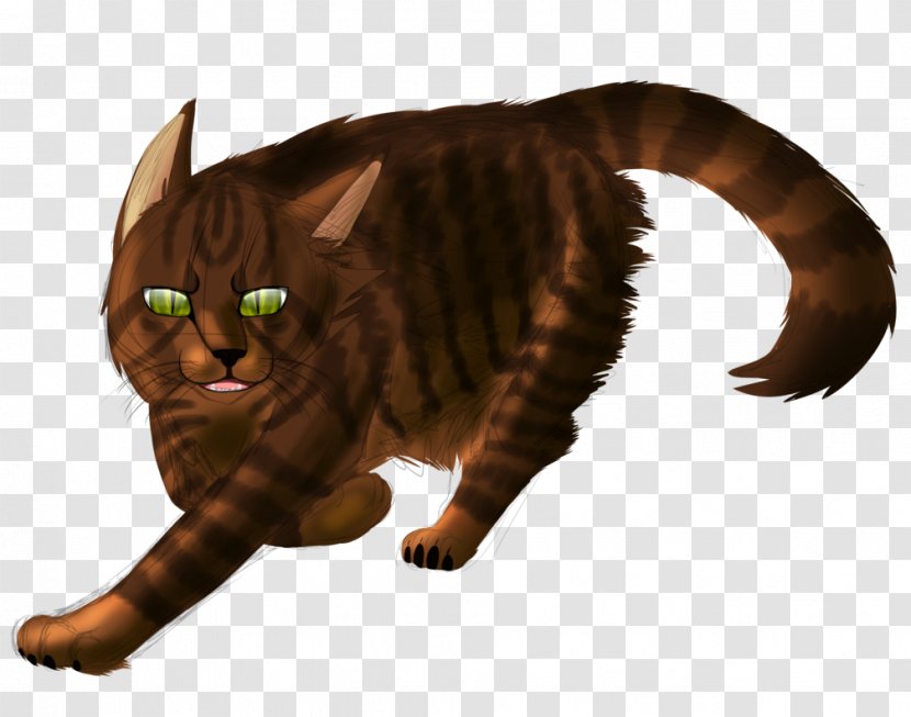 Whiskers Tabby Cat Wildcat Illustration Transparent PNG