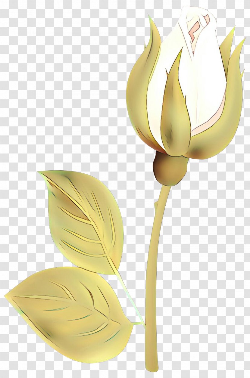 Tulip Cut Flowers Plant Stem Product Design Petal - Leaf - Flowering Transparent PNG