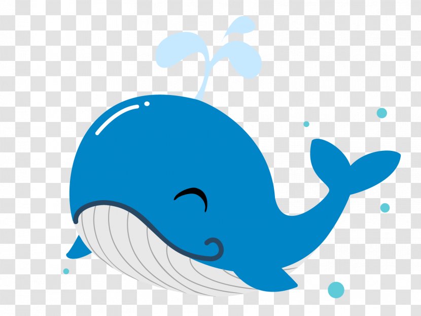 Dolphin Illustration Clip Art Whale Image Transparent PNG