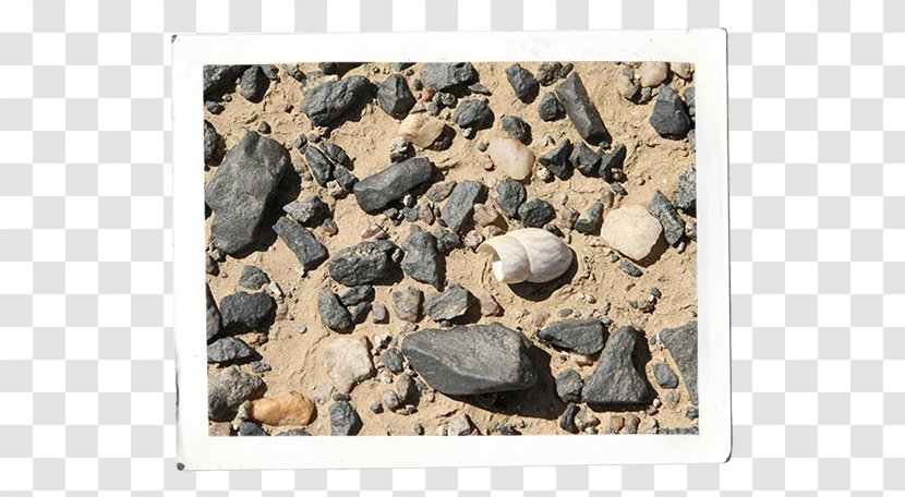 Pebble Geology Igneous Rock Bedrock - Gravel - Stone Age Transparent PNG