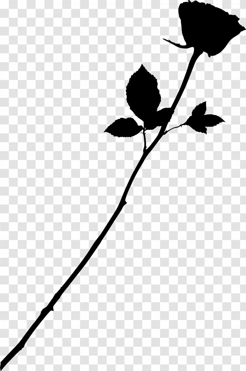 Love Image Rose Friendship - Bud Transparent PNG