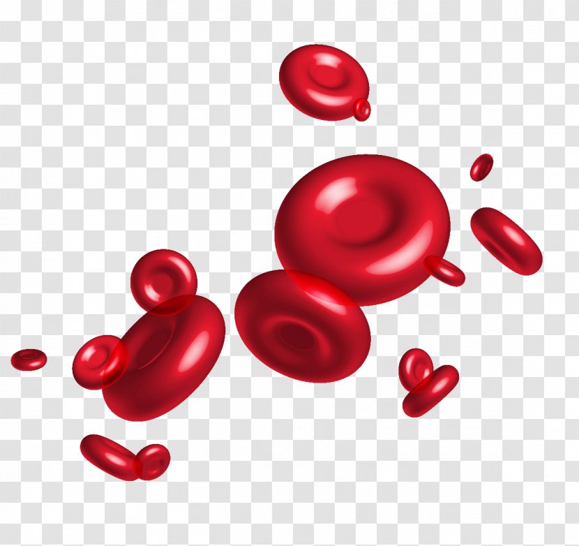 Red Blood Cell - Plasma - Vector Material Transparent PNG