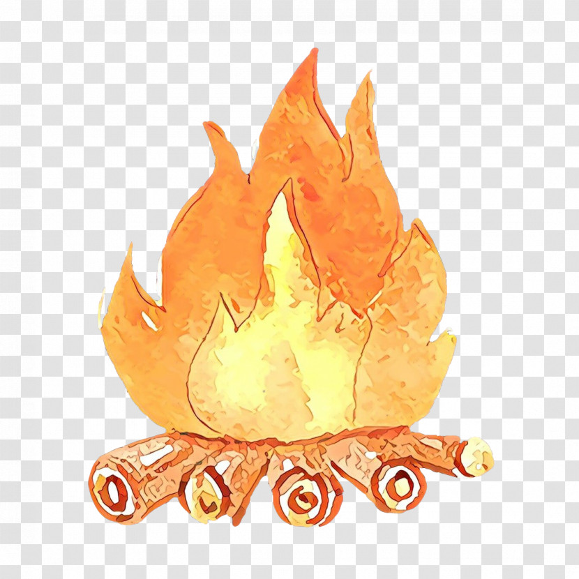 Orange Transparent PNG