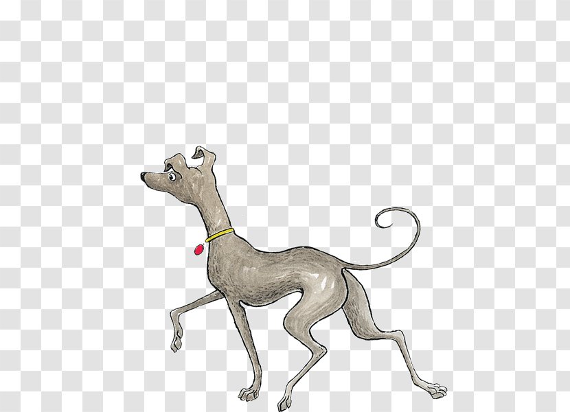 Italian Greyhound Whippet Hairy Maclary From Donaldson's Dairy - Dog Breed - Claw Free Buckle Chart Transparent PNG