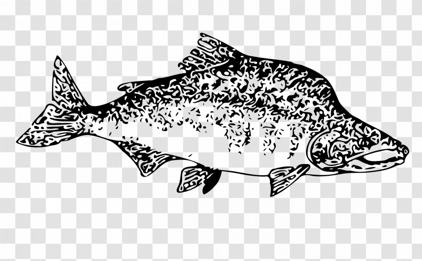 Salmon Fish Clip Art - Black And White - SALMON Transparent PNG