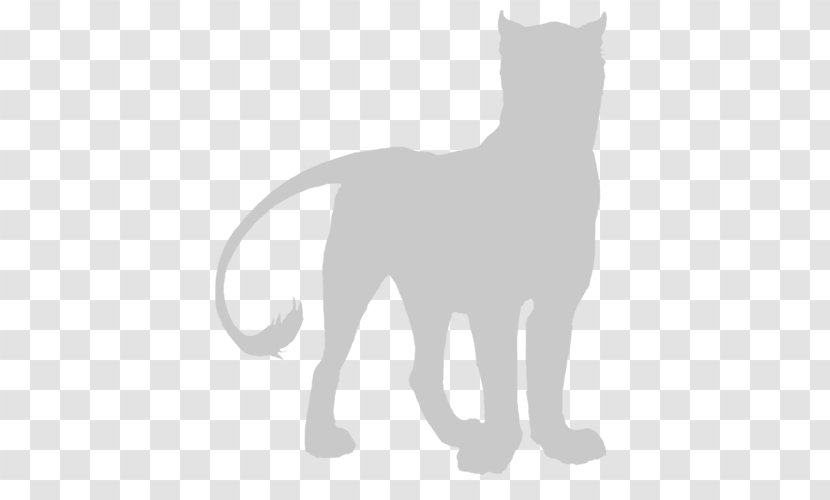 Whiskers Kitten Cat Lion Cougar - Vertebrate Transparent PNG