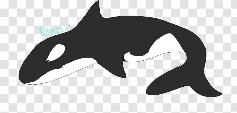 Cat Dolphin Killer Whale Shark Clip Art - Mammal Transparent PNG