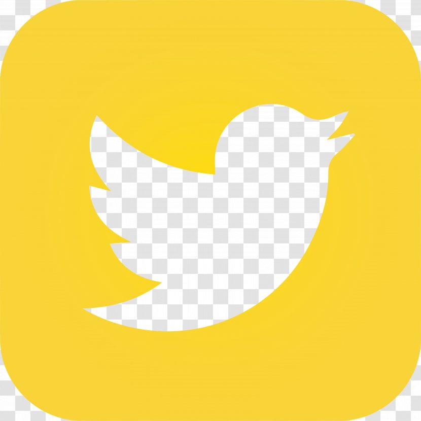 Social Media World Fair Trade Organization Blog - Water Bird Transparent PNG