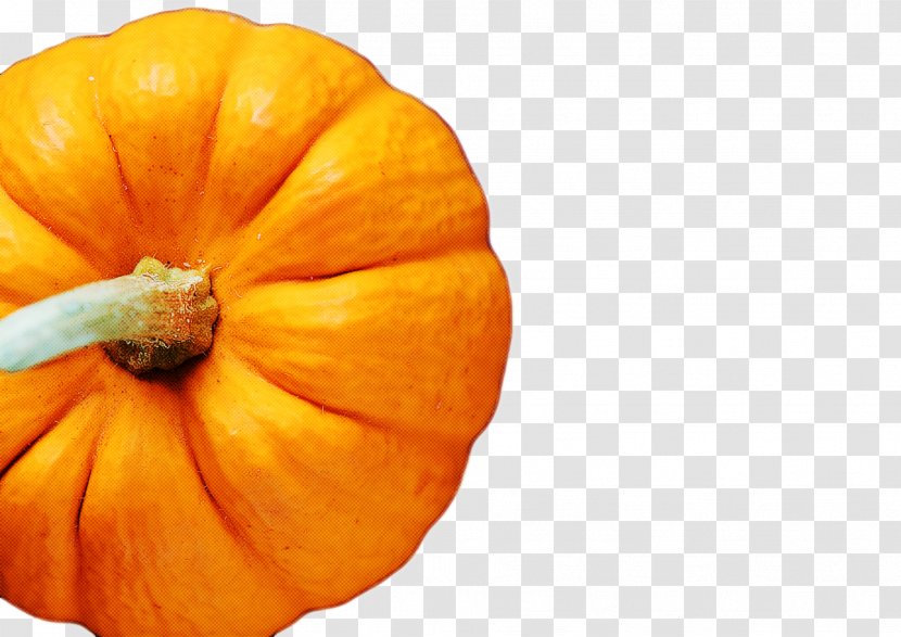 Pumpkin - Plant Food Transparent PNG