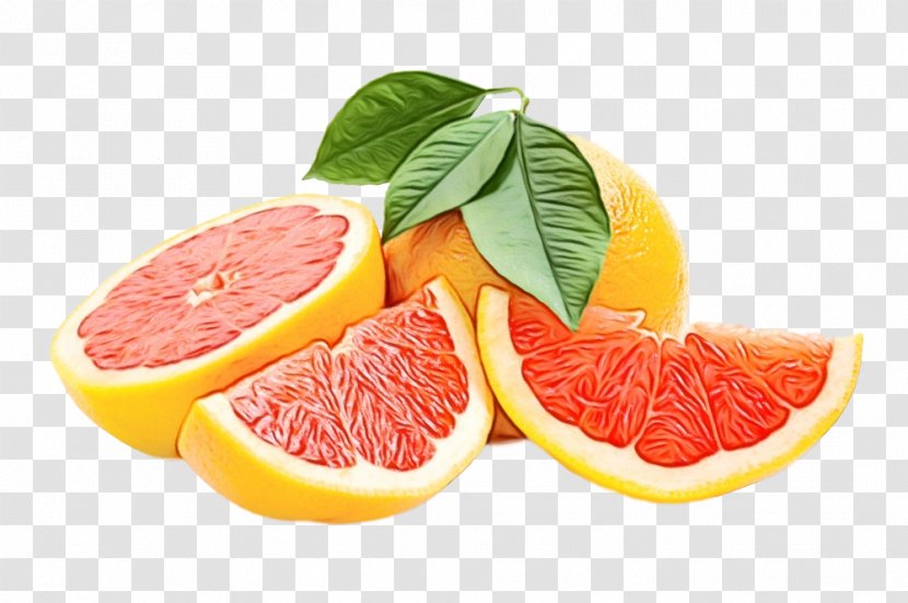 Orange - Paint - Pomelo Transparent PNG