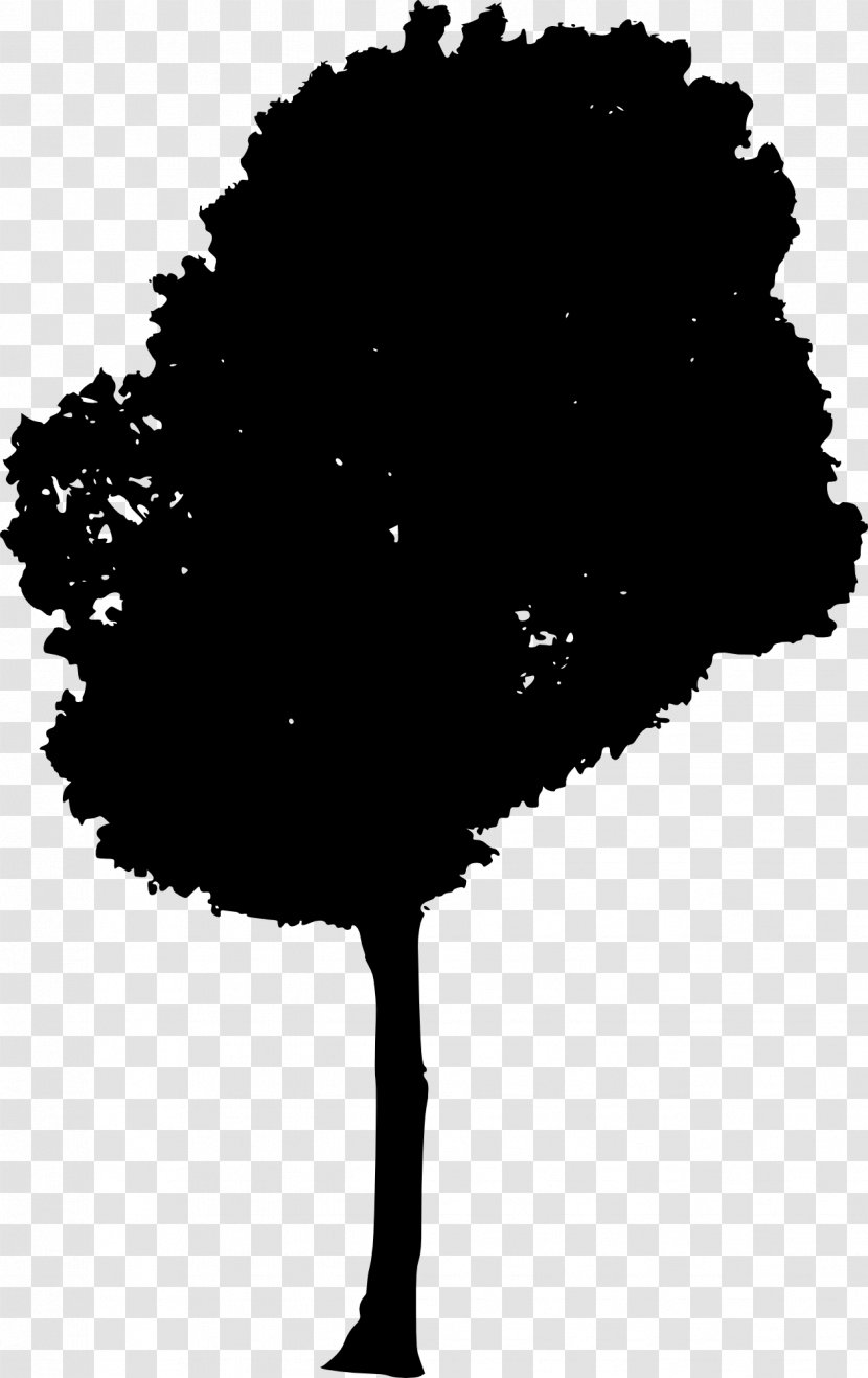Silhouette - Leaf - Of Tree Transparent PNG