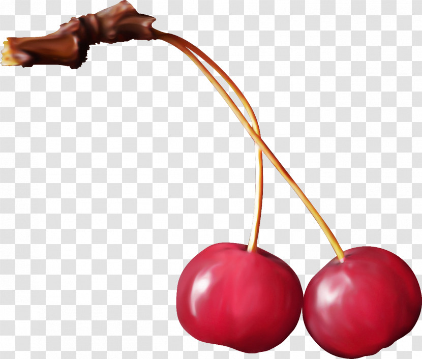 Cherry Plant Fruit Transparent PNG