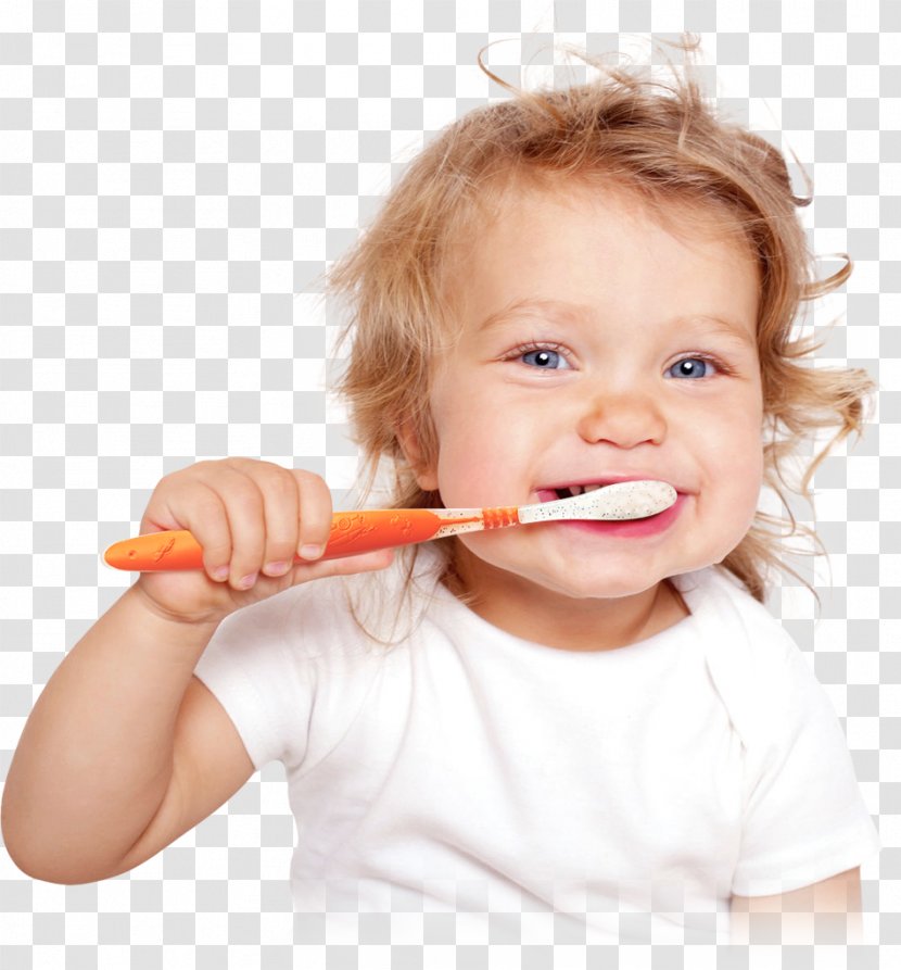 Tooth Brushing Child Teeth Cleaning Human Infant - Fairy Transparent PNG