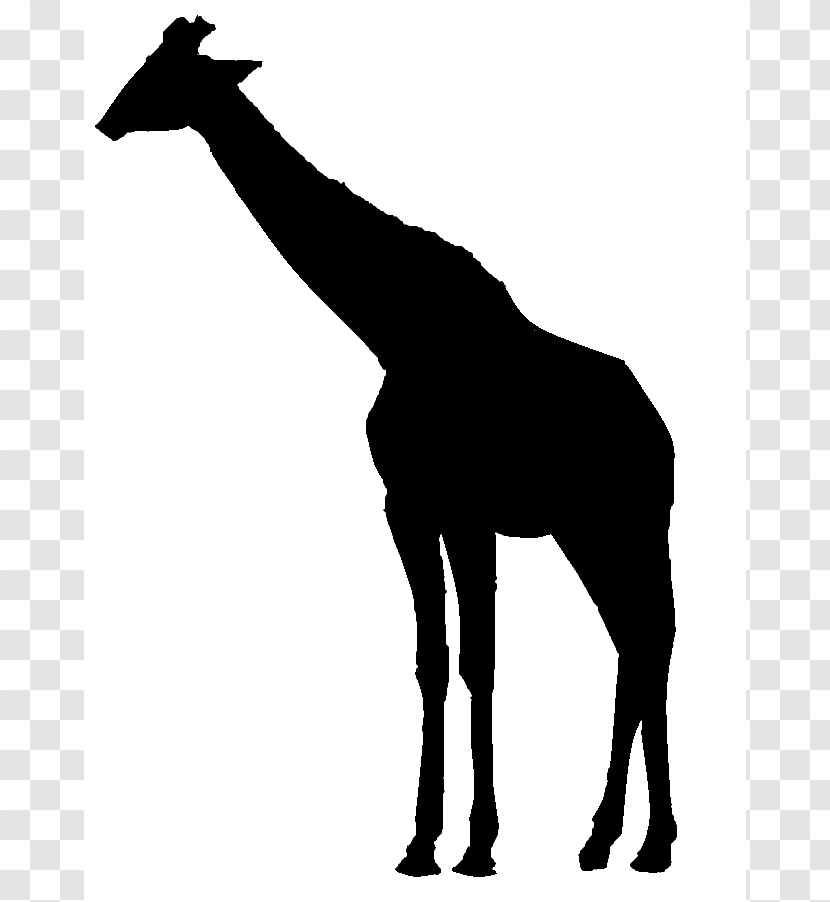 Giraffe Silhouette Clip Art - Photography - Graphics Transparent PNG