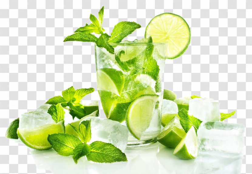 Juicer Lemon Squeezer Iced Tea - Juice - Mint Transparent PNG