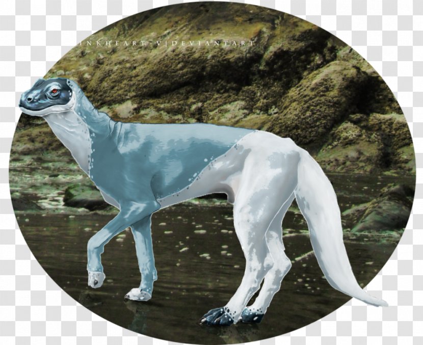 Whippet Italian Greyhound Sloughi Spanish - Galgo Espa%c3%b1ol - Heart Ink Transparent PNG
