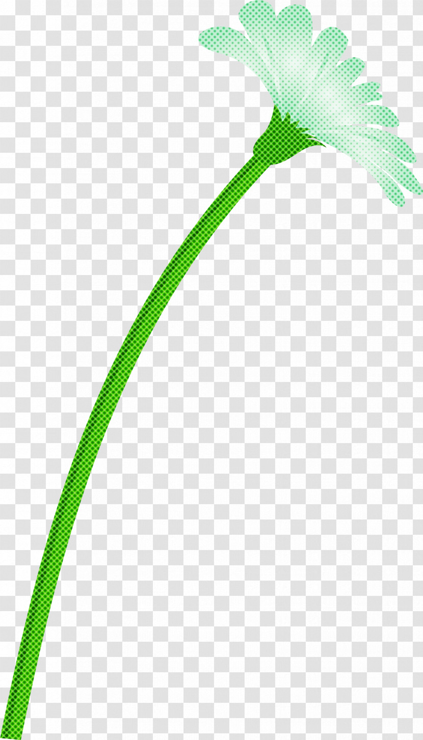 Dandelion Flower Transparent PNG