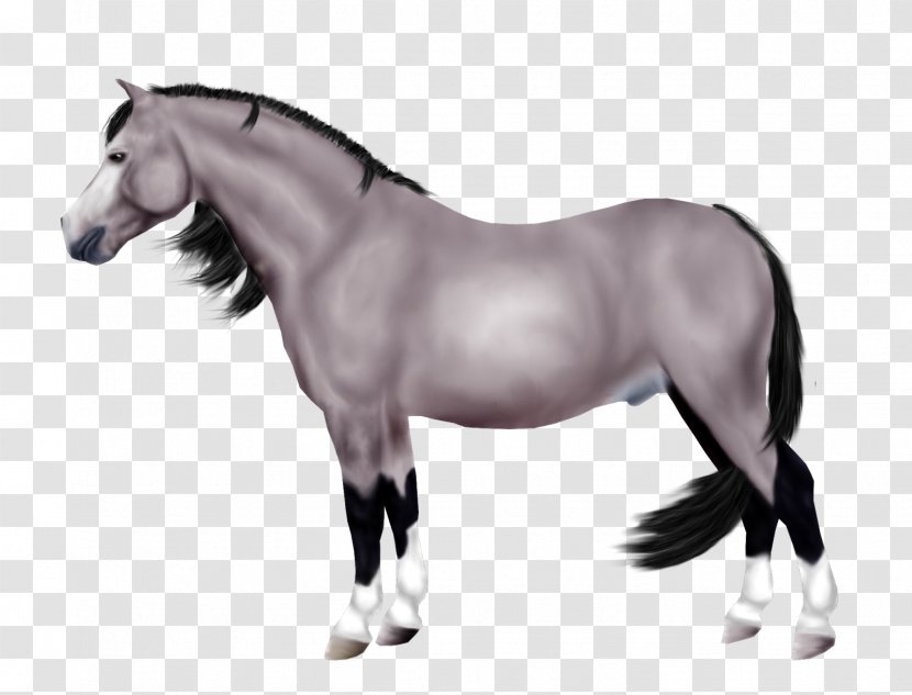 Mane Mustang Stallion Mare Pony - Pack Animal Transparent PNG