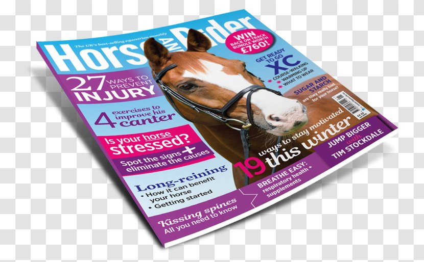 0 Burghley Horse Trials Equestrian September - Advertising - Best Seller Magazine Transparent PNG