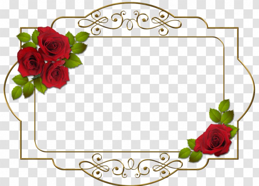 Picture Frame Digital Photo Flower Clip Art - Film - Red Rose Metal Transparent PNG