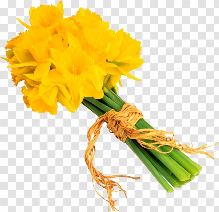 Daffodil Narcissus Flower Wedding - Flowering Plant - Yellow Transparent PNG