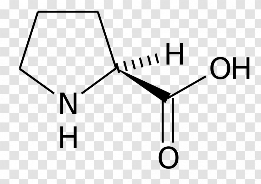 Amino Acid Proline Kainic Cysteine - Proteinogenic - Formular Transparent PNG