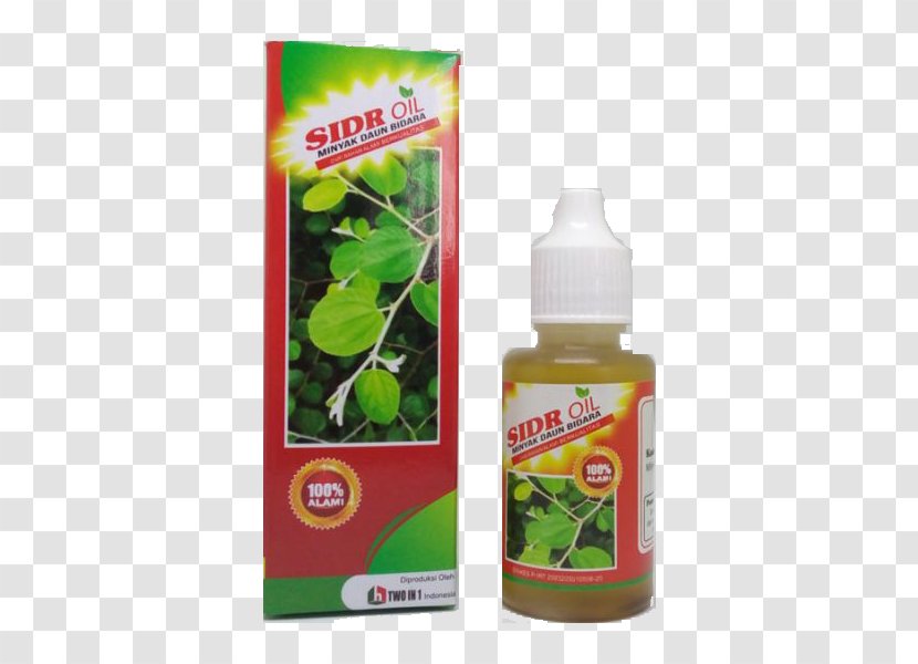 Indian Jujube Oil Exorcism In Islam Health Food Transparent PNG