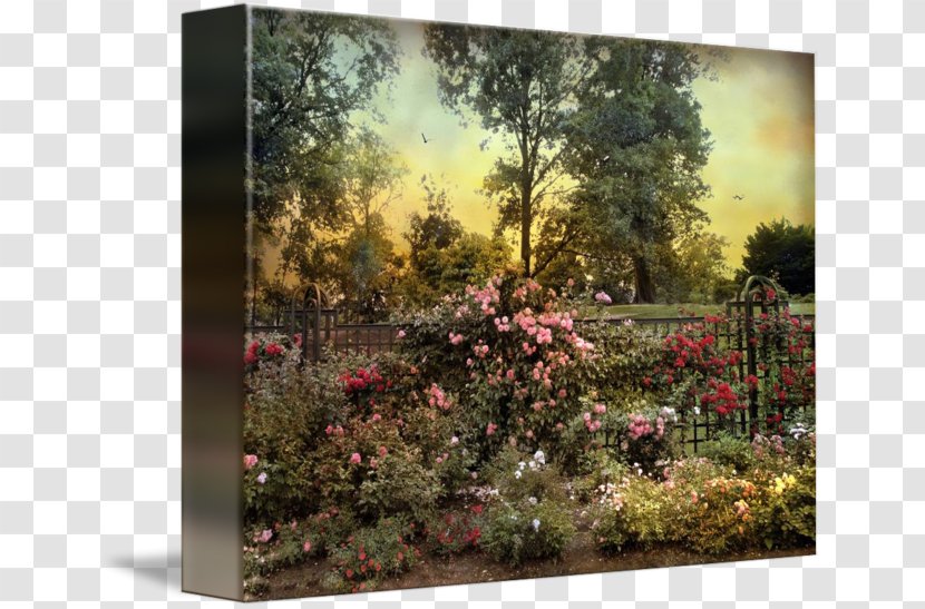 Landscaping Painting Flora Garden Flower - Rose Leslie Transparent PNG