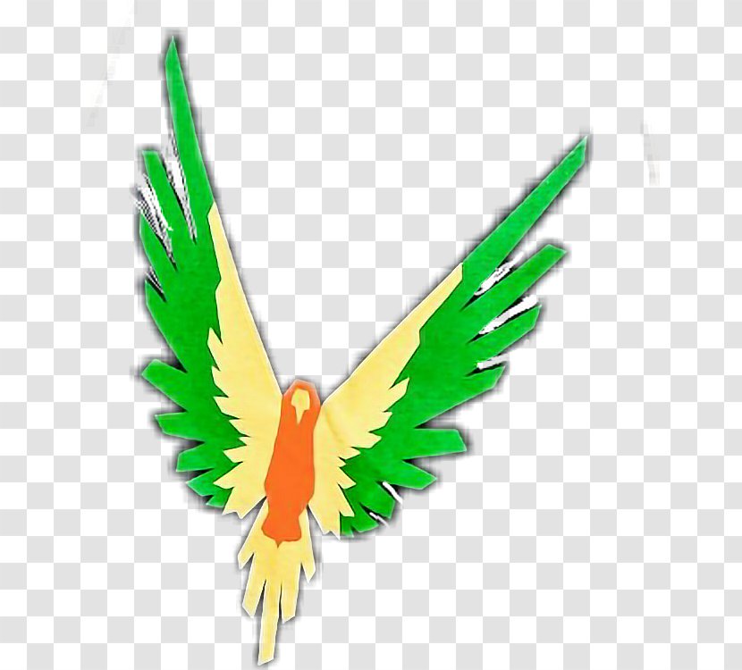 Logo Clip Art - Macaw - Drawing Butterfly Transparent PNG