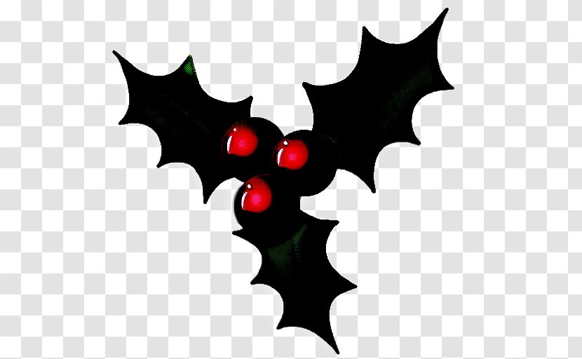 Holly - Tree - Plane Plant Transparent PNG