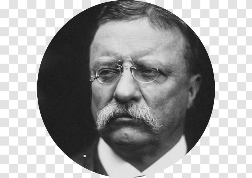 Theodore Roosevelt White House President Of The United States Presidential Inauguration Republican Party - Vision Care Transparent PNG