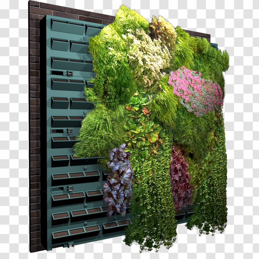 Green Wall Garden Trellis Vine - Autocad Dxf - Flower Transparent PNG