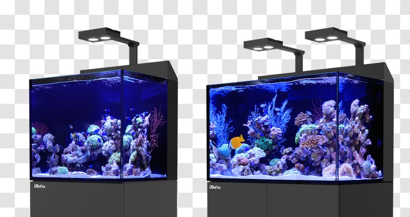 Red Sea Reef Aquarium S.E.A. - Plastic Transparent PNG