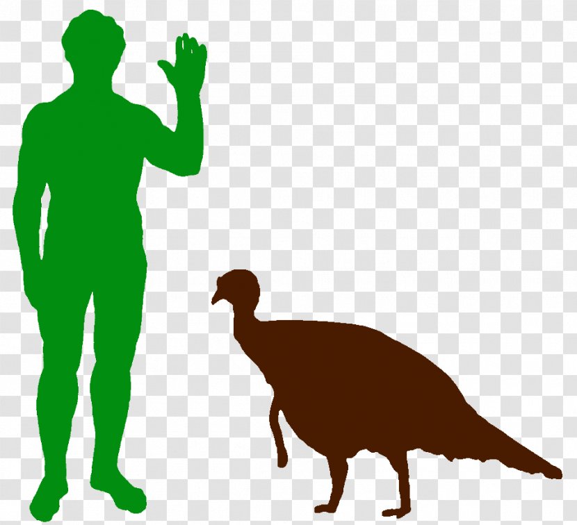 Dinosaur Staurikosaurus Metric Ton Hippopotamus Of TNT - Tnt Equivalent Transparent PNG