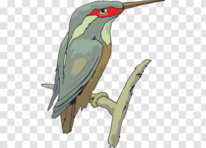 Common Kingfisher Clip Art - Fisher Cliparts Transparent PNG